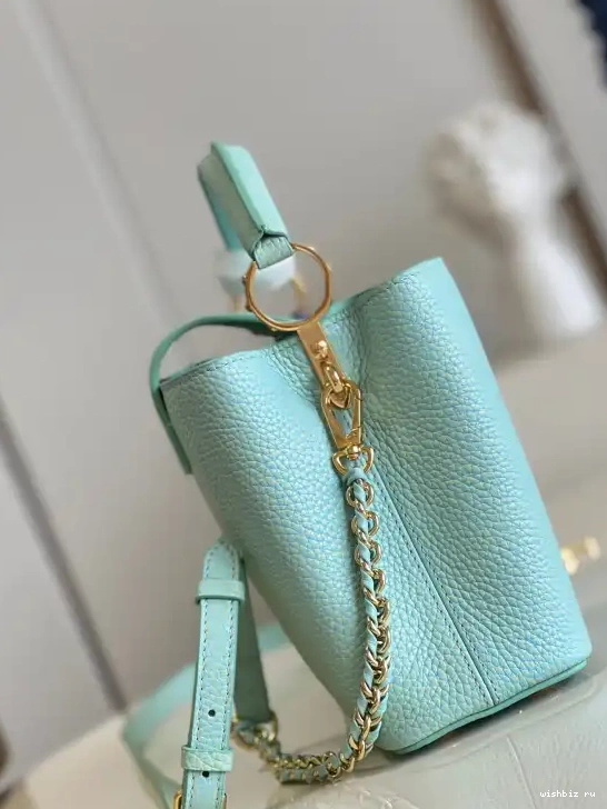 WIS BB VUITTON LOUIS CAPUCINES 0422